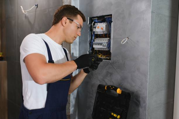 Best Ceiling Fan Installation Electrician  in Woodstock, IL